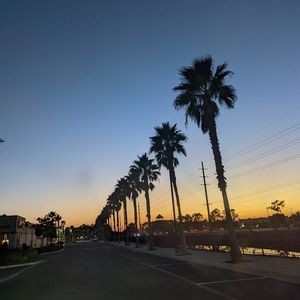 Meet your Posher, Trinity